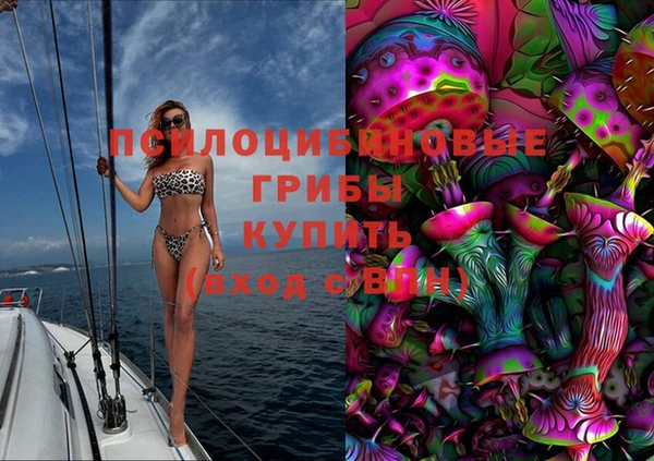 шишки Алзамай