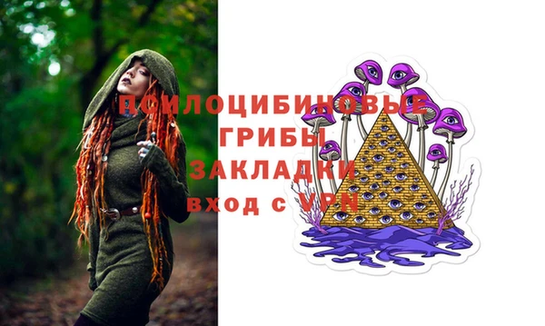 не бодяженный Алексин