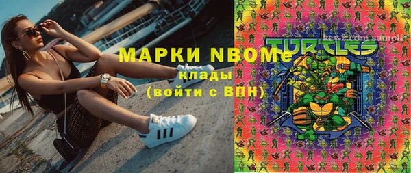 шишки Алзамай