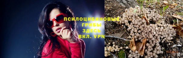 не бодяженный Алексин