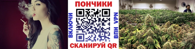 как найти закладки Приозерск Канабис индика